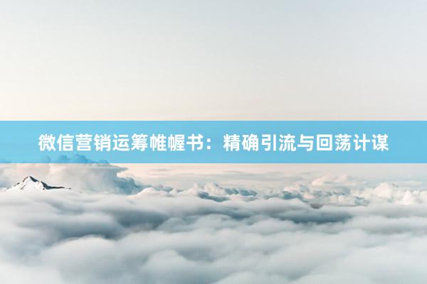 微信营销运筹帷幄书：精确引流与回荡计谋