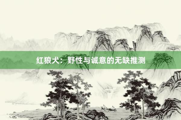 红狼犬：野性与诚意的无缺推测
